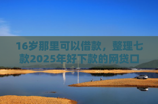 16岁那里可以借款，整理七款2025年好下款的网贷口子