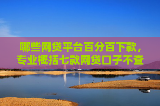 哪些网贷平台百分百下款，专业概括七款网贷口子不查征信保下款