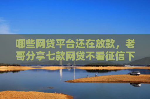 哪些网贷平台还在放款，老哥分享七款网贷不看征信下款快6