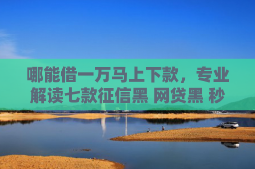 哪能借一万马上下款，专业解读七款征信黑 网贷黑 秒下款