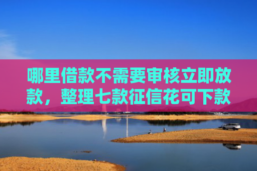 哪里借款不需要审核立即放款，整理七款征信花可下款的网贷