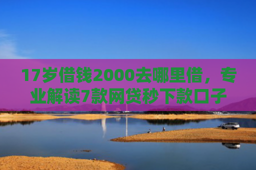 17岁借钱2000去哪里借，专业解读7款网贷秒下款口子