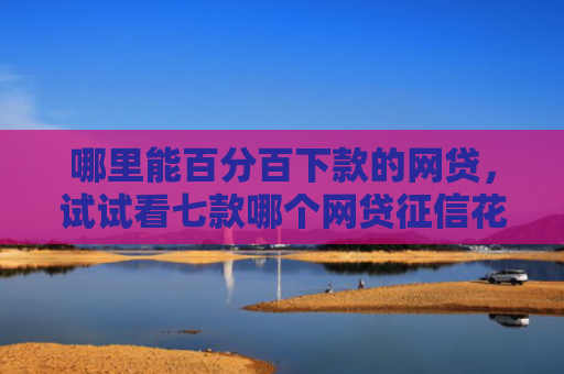 哪里能百分百下款的网贷，试试看七款哪个网贷征信花了好下款