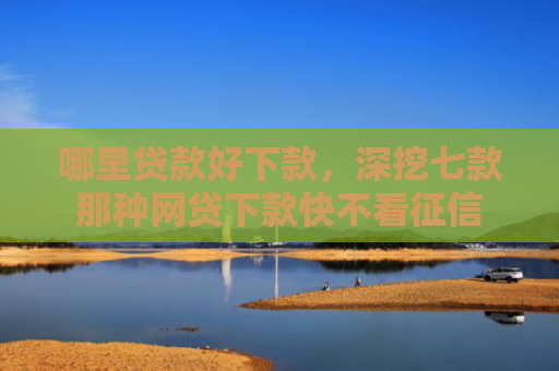 哪里贷款好下款，深挖七款那种网贷下款快不看征信