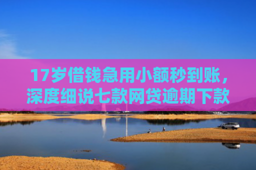 17岁借钱急用小额秒到账，深度细说七款网贷逾期下款口子