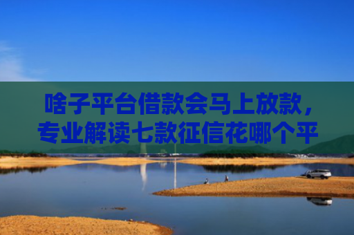 啥子平台借款会马上放款，专业解读七款征信花哪个平台可以下款