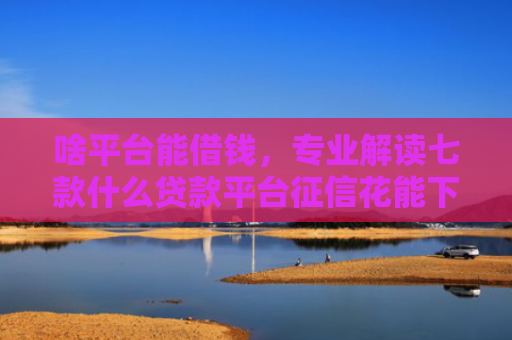 啥平台能借钱，专业解读七款什么贷款平台征信花能下款