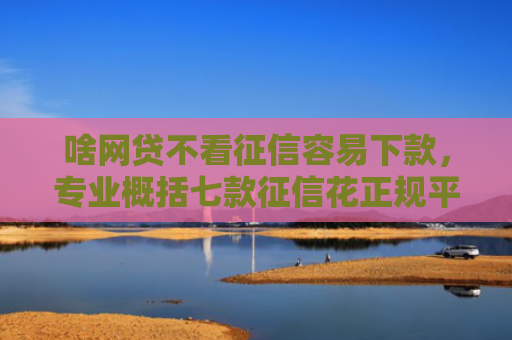 啥网贷不看征信容易下款，专业概括七款征信花正规平台能下款吗