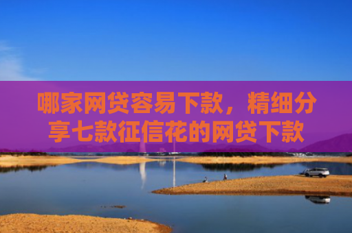 哪家网贷容易下款，精细分享七款征信花的网贷下款