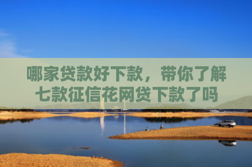哪家贷款好下款，带你了解七款征信花网贷下款了吗