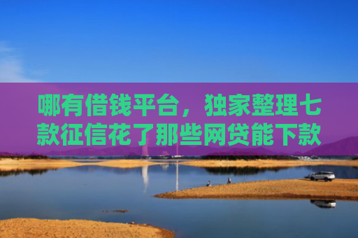 哪有借钱平台，独家整理七款征信花了那些网贷能下款