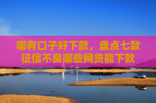 哪有口子好下款，盘点七款征信不良哪些网贷能下款