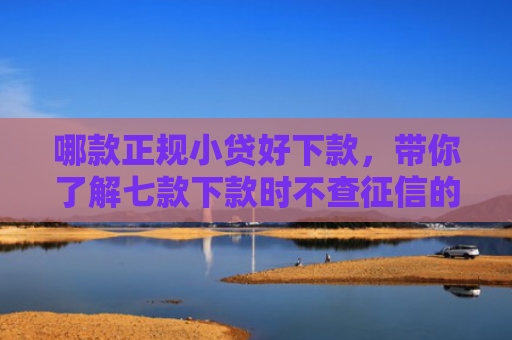 哪款正规小贷好下款，带你了解七款下款时不查征信的网贷