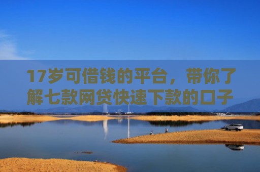 17岁可借钱的平台，带你了解七款网贷快速下款的口子