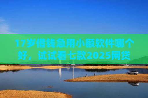 17岁借钱急用小额软件哪个好，试试看七款2025网贷下款口子