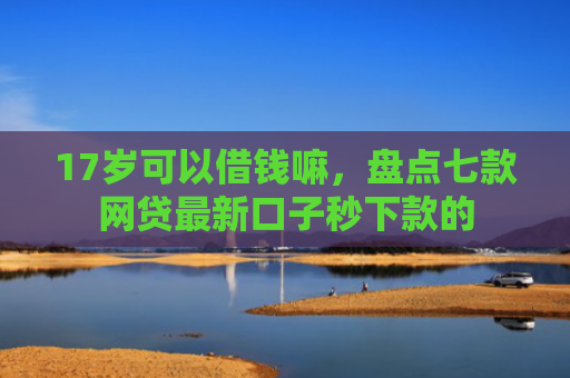 17岁可以借钱嘛，盘点七款网贷最新口子秒下款的