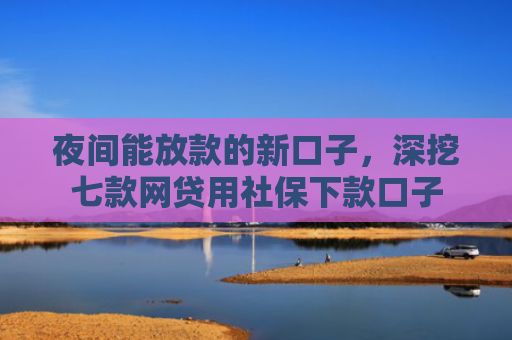 夜间能放款的新口子，深挖七款网贷用社保下款口子