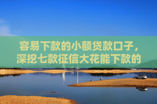 容易下款的小额贷款口子，深挖七款征信大花能下款的平台