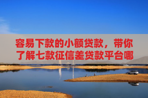 容易下款的小额贷款，带你了解七款征信差贷款平台哪个好下款快