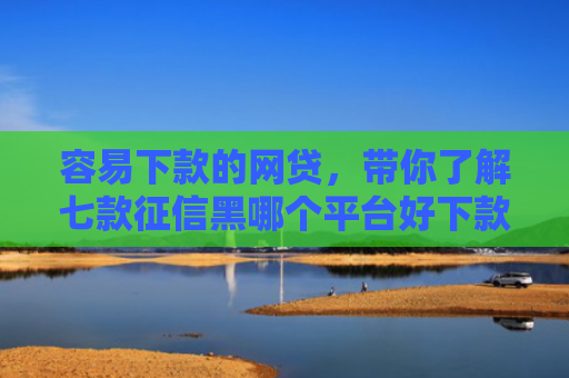 容易下款的网贷，带你了解七款征信黑哪个平台好下款快