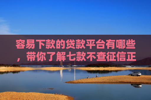 容易下款的贷款平台有哪些，带你了解七款不查征信正规下款的平台