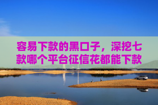 容易下款的黑口子，深挖七款哪个平台征信花都能下款