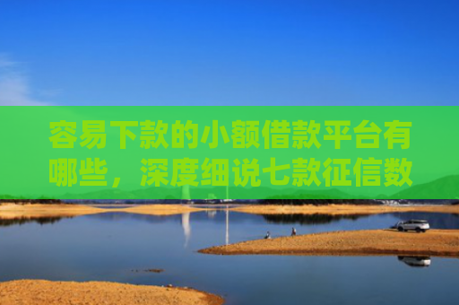 容易下款的小额借款平台有哪些，深度细说七款征信数据花能下款的平台