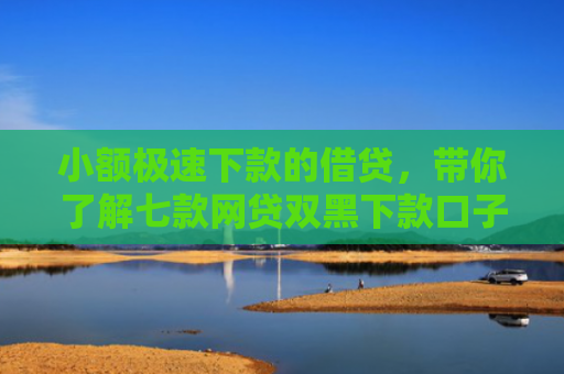 小额极速下款的借贷，带你了解七款网贷双黑下款口子