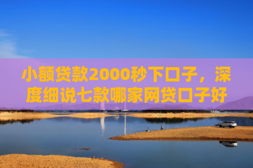 小额贷款2000秒下口子，深度细说七款哪家网贷口子好下款