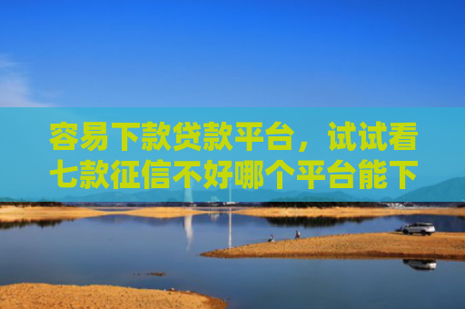 容易下款贷款平台，试试看七款征信不好哪个平台能下款