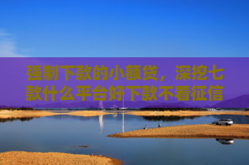 强制下款的小额贷，深挖七款什么平台好下款不看征信