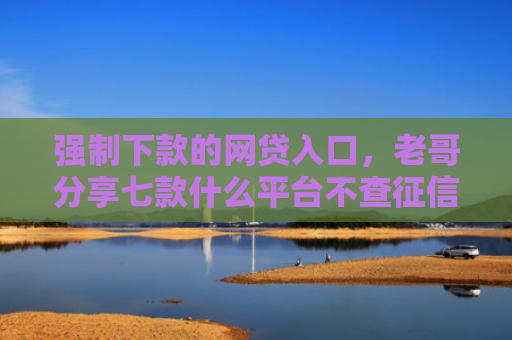 强制下款的网贷入口，老哥分享七款什么平台不查征信下款快