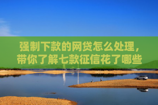 强制下款的网贷怎么处理，带你了解七款征信花了哪些平台能下款