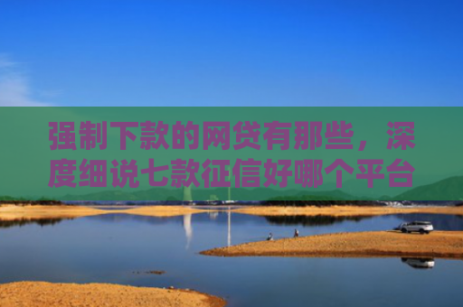 强制下款的网贷有那些，深度细说七款征信好哪个平台好下款