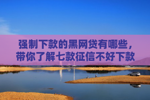 强制下款的黑网贷有哪些，带你了解七款征信不好下款容易的平台