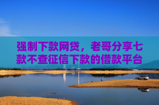 强制下款网贷，老哥分享七款不查征信下款的借款平台