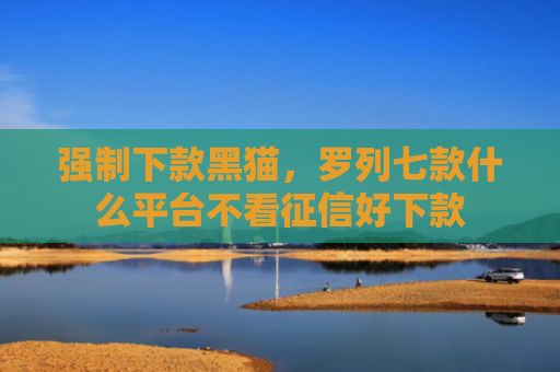 强制下款黑猫，罗列七款什么平台不看征信好下款