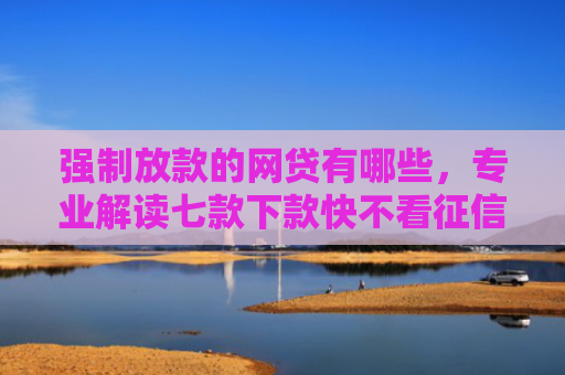 强制放款的网贷有哪些，专业解读七款下款快不看征信的平台