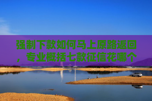 强制下款如何马上原路返回，专业概括七款征信花哪个平台必下款