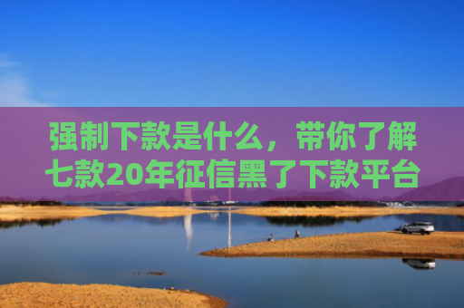 强制下款是什么，带你了解七款20年征信黑了下款平台