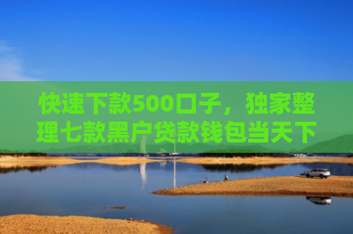 快速下款500口子，独家整理七款黑户贷款钱包当天下款