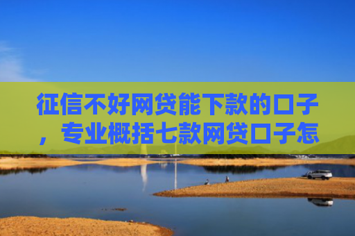 征信不好网贷能下款的口子，专业概括七款网贷口子怎么填下款高