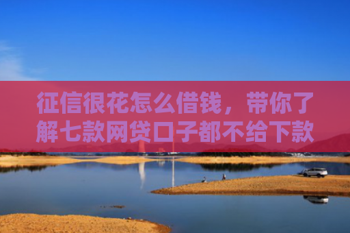 征信很花怎么借钱，带你了解七款网贷口子都不给下款了