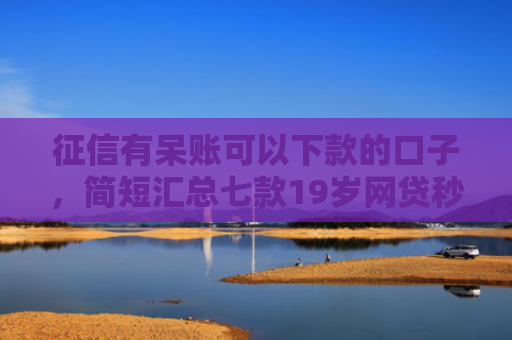 征信有呆账可以下款的口子，简短汇总七款19岁网贷秒下款口子