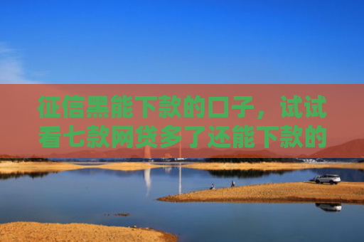 征信黑能下款的口子，试试看七款网贷多了还能下款的口子