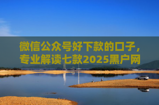 微信公众号好下款的口子，专业解读七款2025黑户网贷能下款的口子