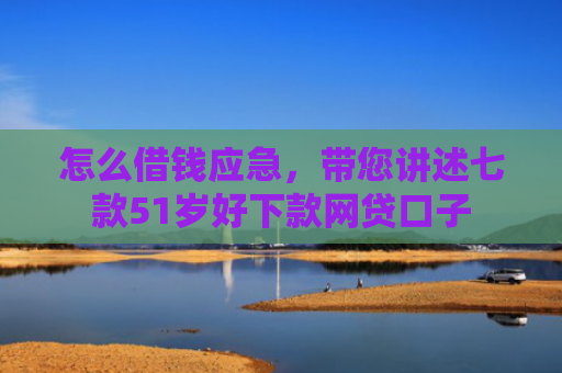 怎么借钱应急，带您讲述七款51岁好下款网贷口子