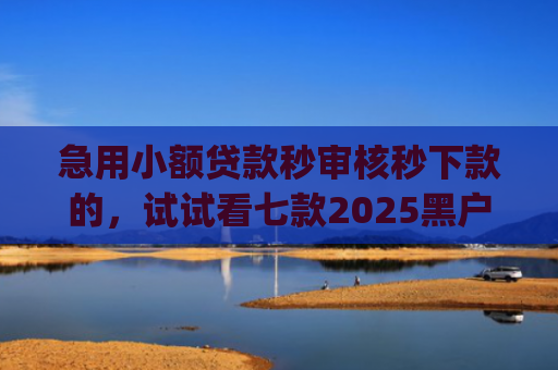 急用小额贷款秒审核秒下款的，试试看七款2025黑户易下款的网贷app