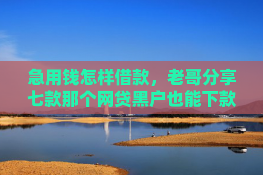 急用钱怎样借款，老哥分享七款那个网贷黑户也能下款吗