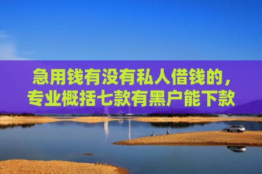 急用钱有没有私人借钱的，专业概括七款有黑户能下款的网贷吗？